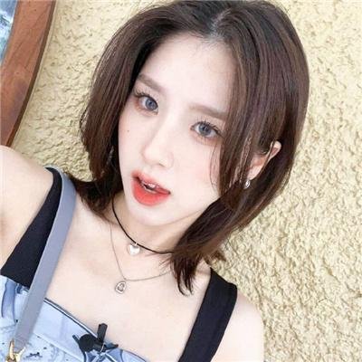 毛茸茸的狗